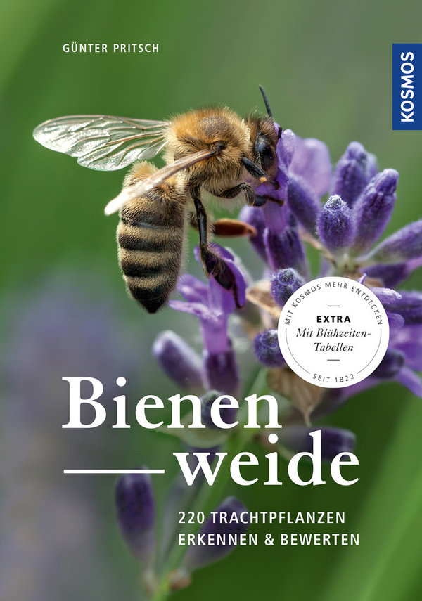 Bienenweide - 220 Trachtpflanzen erkennen und bewerten, Taschenbuch